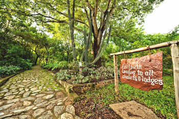 Musangano Lodge: Fußweg zu den UNterkünften