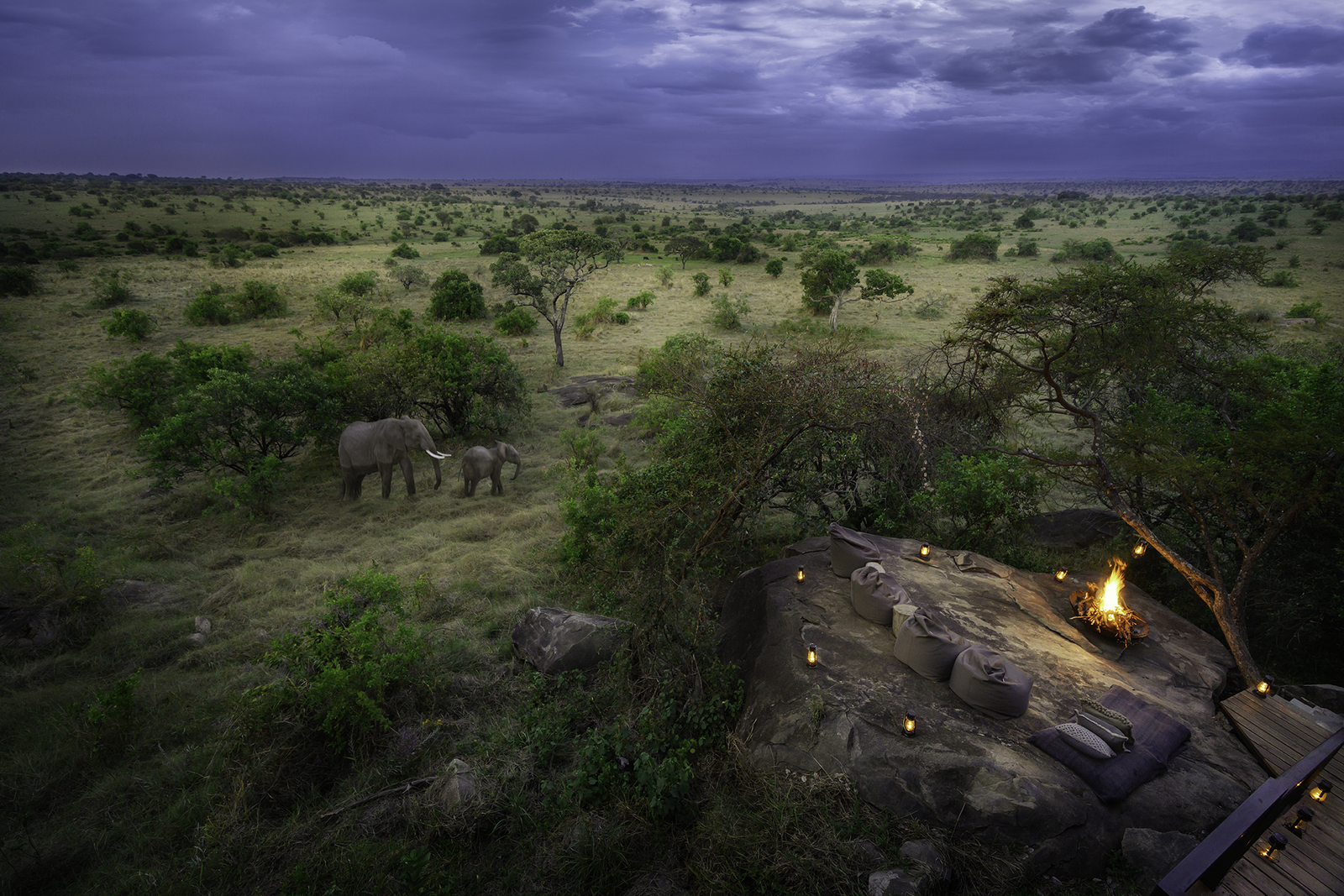 Nimali Mara Camp Nimali Mara Camp: Elefant mit Jungtier vor dem Camp