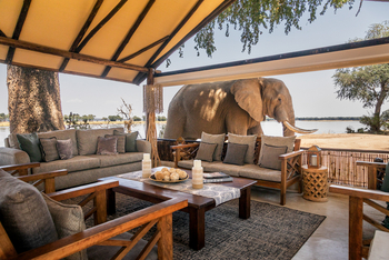 Old Mondoro Camp: Elefant an der Lounge
