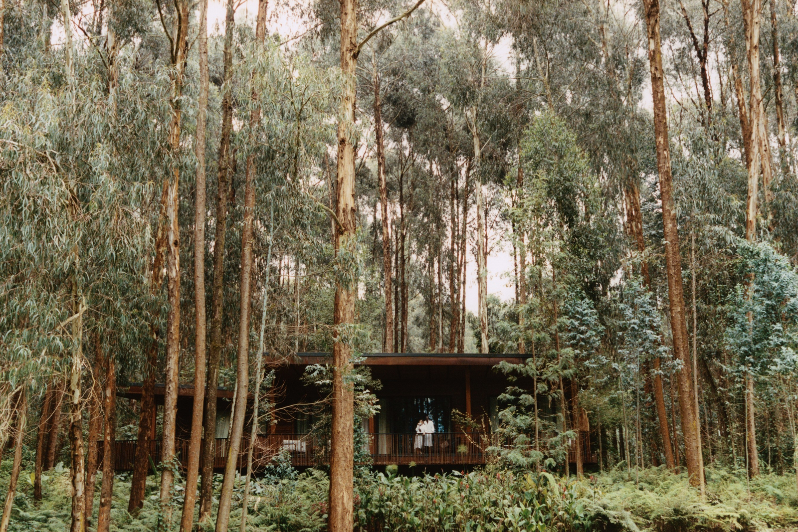 One and Only Gorilla's Nest One and Only Gorilla's Nest: Gästeunterkunft von vorne