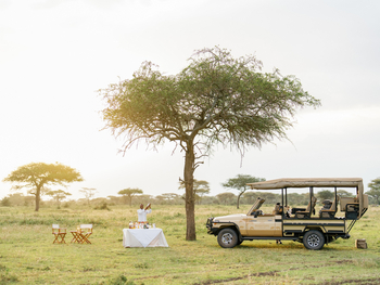 Roving Bushtops Camp: Bush Lunch