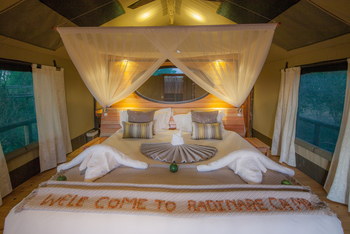 Rra Dinare Camp: Handtuchbüffel