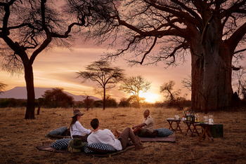 Sanctuary Swala: Picknick