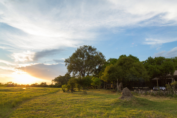 Sango Safari Camp: Khwai Flood Plains