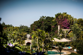 Segera Retreat: Garten