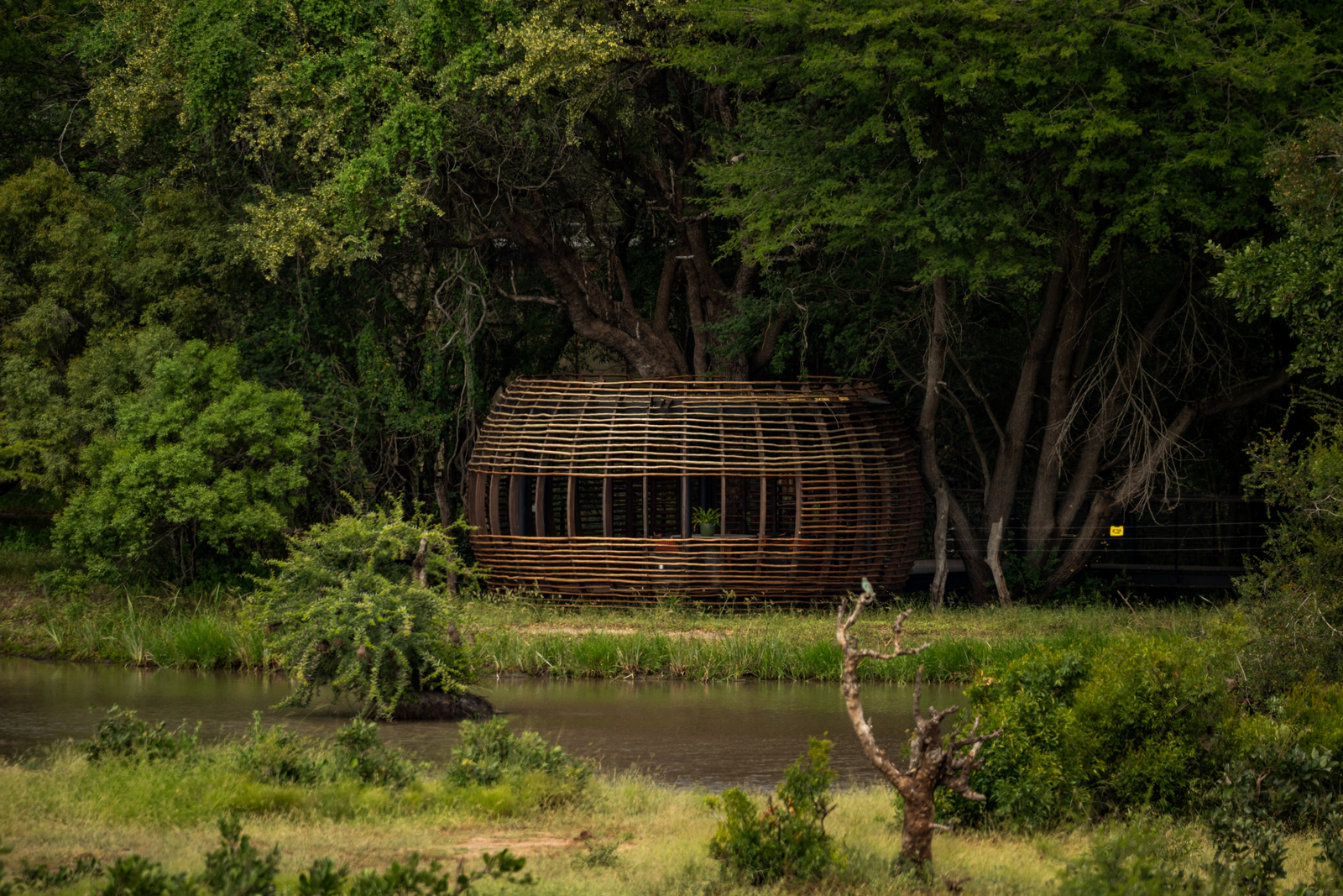 Tanda Tula Safari Camp Tanda Tula Safari Camp: The Bird's Nest