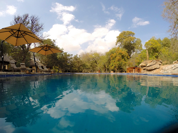 Tuli Safari Lodge Mashatu: Swimmingpool
