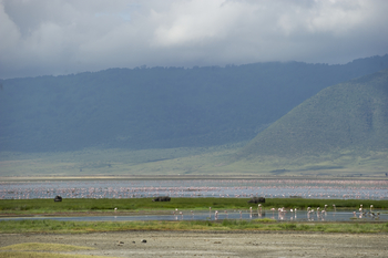 Entamanu Ngorongoro Camp: Lake Magadi mit Flamingos