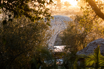 Jao Camp: Galeriewald