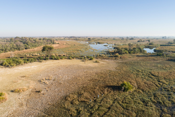 Kala Camp: Walking Safari