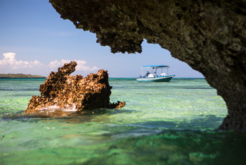 Kinondo Kwetu Kinondo Kwetu: Schwimmen zwischen Korallenfelsen