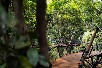 Mara Toto Tree Camp: Bird Walk