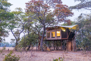Mukambi Fig Tree Bush Camp: Gästezelt von außen