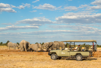 Nxai Pan Camp: Elefanten am Wasserloch
