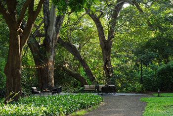 Rivertrees Country Inn: River Deck mit Beleuchtung