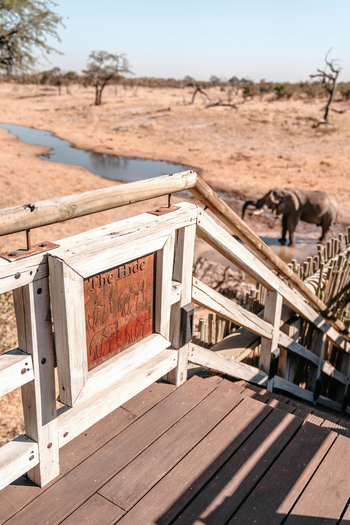 Belmond Savute Elephant Lodge Belmond Savute Elephant Lodge: Treppe am Hide