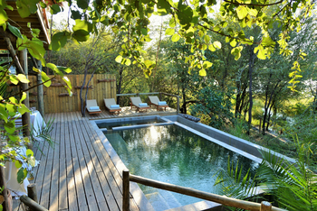 Chobe Bakwena Lodge Chobe Bakwena Lodge: Pool im Grünen