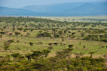 Kicheche Valley Camp Kicheche Valley Camp: Landschaft beim Game Drive