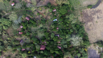 Migunga Tented Camp: Luftaufnahme von grünen Wäldern mit Hütten