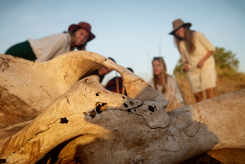 Olkeri Camp: Tierschädel