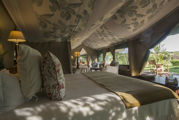 Richard's River Camp: Family Tent