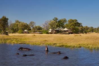 Tuludi Camp: Hippos vor dem Camp