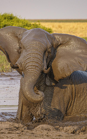 Wilderness Mokete Camp: Schlammbad