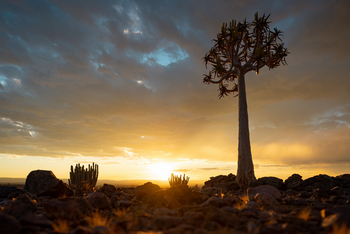 Fish River Lodge Fish River Lodge: Landschaft