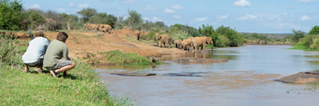 Laikipia Wilderness Camp: Elefanten am Wasser
