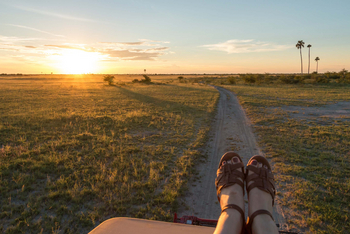 Camp Kalahari Camp Kalahari: Game Drive