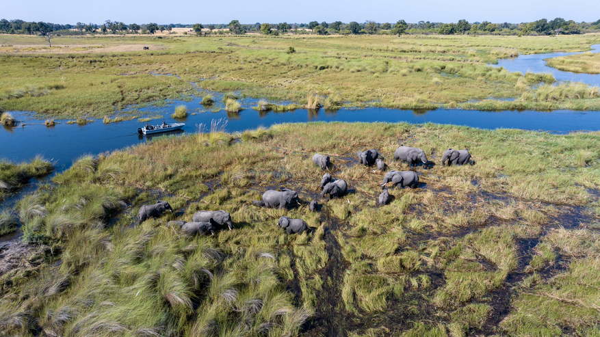 North Island Okavango Camp