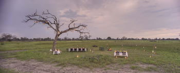 Nxabega Okavango Tented Camp: Bush Dinner