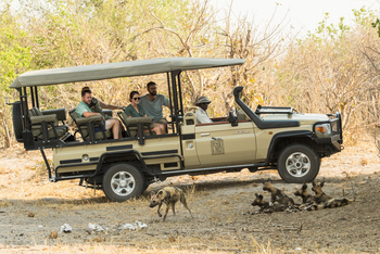 Savute Safari Lodge: Game Drive - Wildhunde