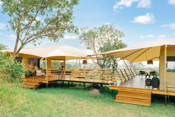 Serengeti Bushtops: Family Tent
