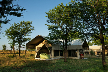 Serengeti Kati Kati Tented Camp: Gästezelt