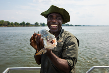 Amanzi Camp: Tiger Fish