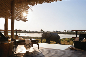 Belmond Eagle Island Lodge: Elefant vor dem Camp