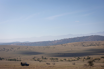 Borana Lodge Borana Lodge: Pirschfahrt mit weitem Blick