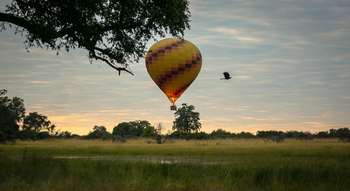 Bushman Plains Camp: Ballonfahrt