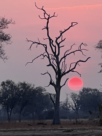 Chikunto Safari Lodge Chikunto Safari Lodge: Sonnenuntergang