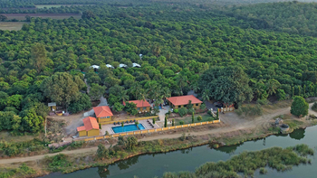 Gir Lion Safari Camp: Gesamtanlage