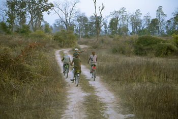 Jim's Jungle Retreat: Cycling
