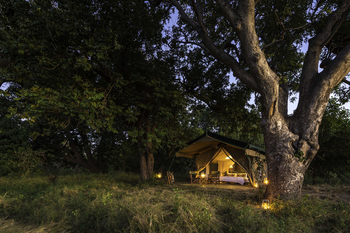 John's Camp John's Camp: Gästezelt - Außenansicht