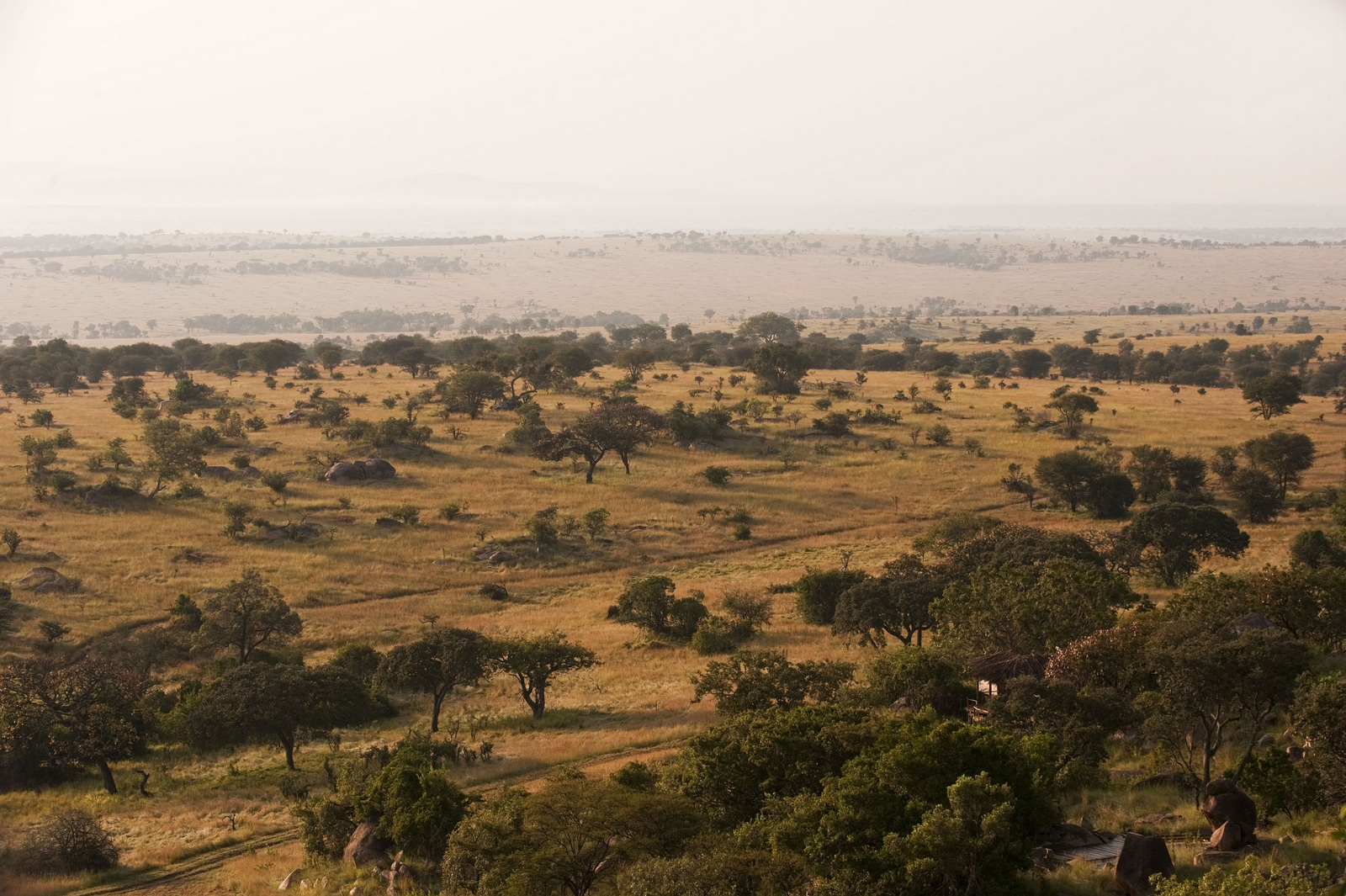 Mkombe's House Lamai Mkombe's House Lamai: Savanne