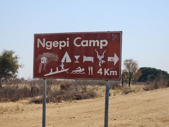 Ngepi Camp: Wegweiser