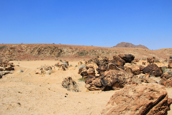 Sanctuary Okahirongo River Camp Sanctuary Okahirongo River Camp: No Title