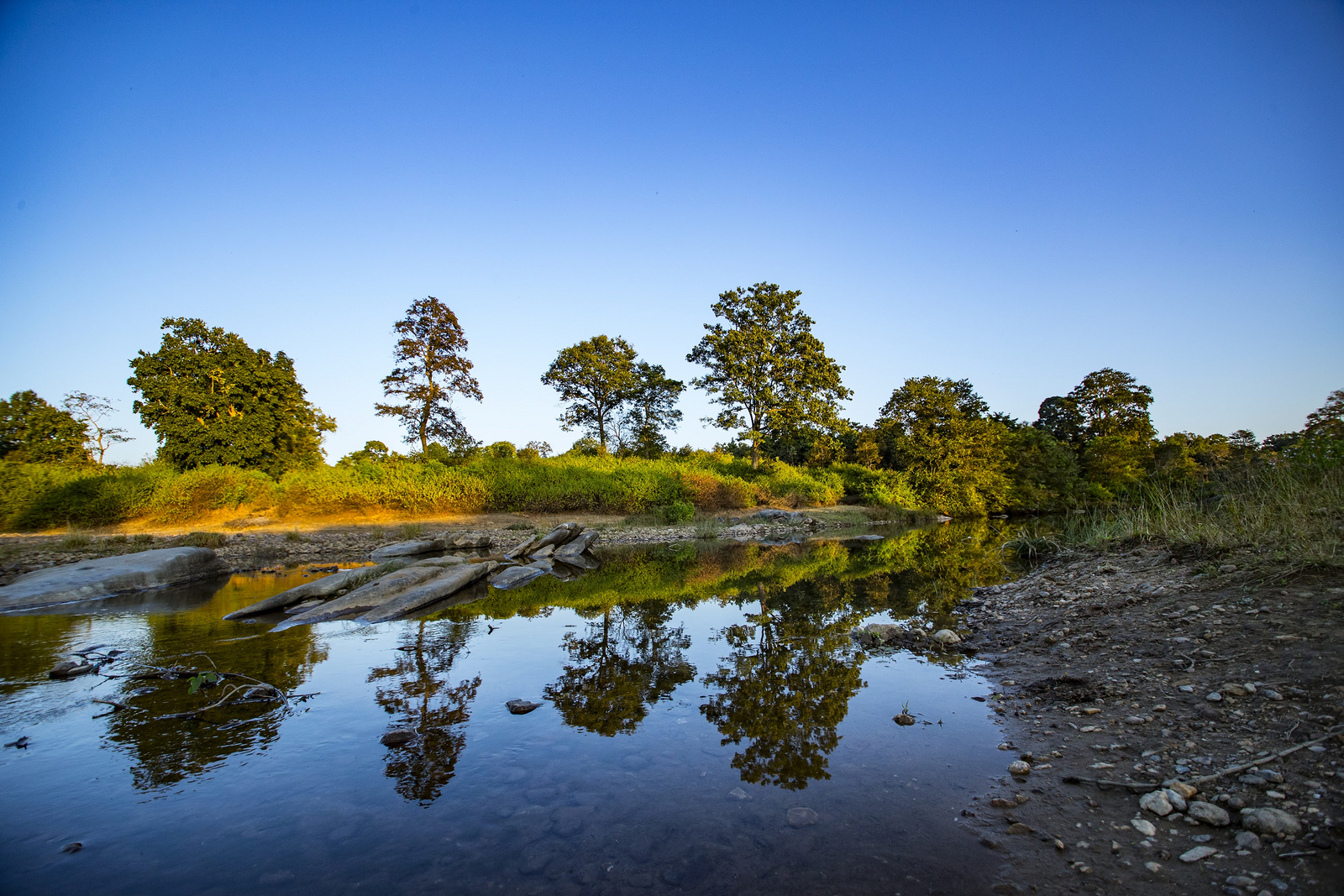 Singinawa Jungle Lodge Singinawa Jungle Lodge: Flusslandschaft