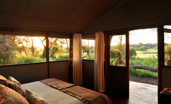 The Hide: Tom's Little Hide