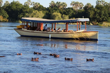 The Palm River Hotel: Hippos