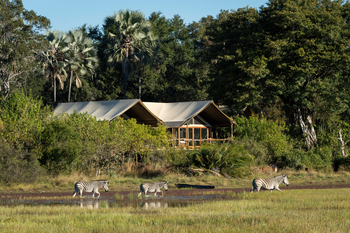 Tubu Tree Camp: Lage im Galeriewald